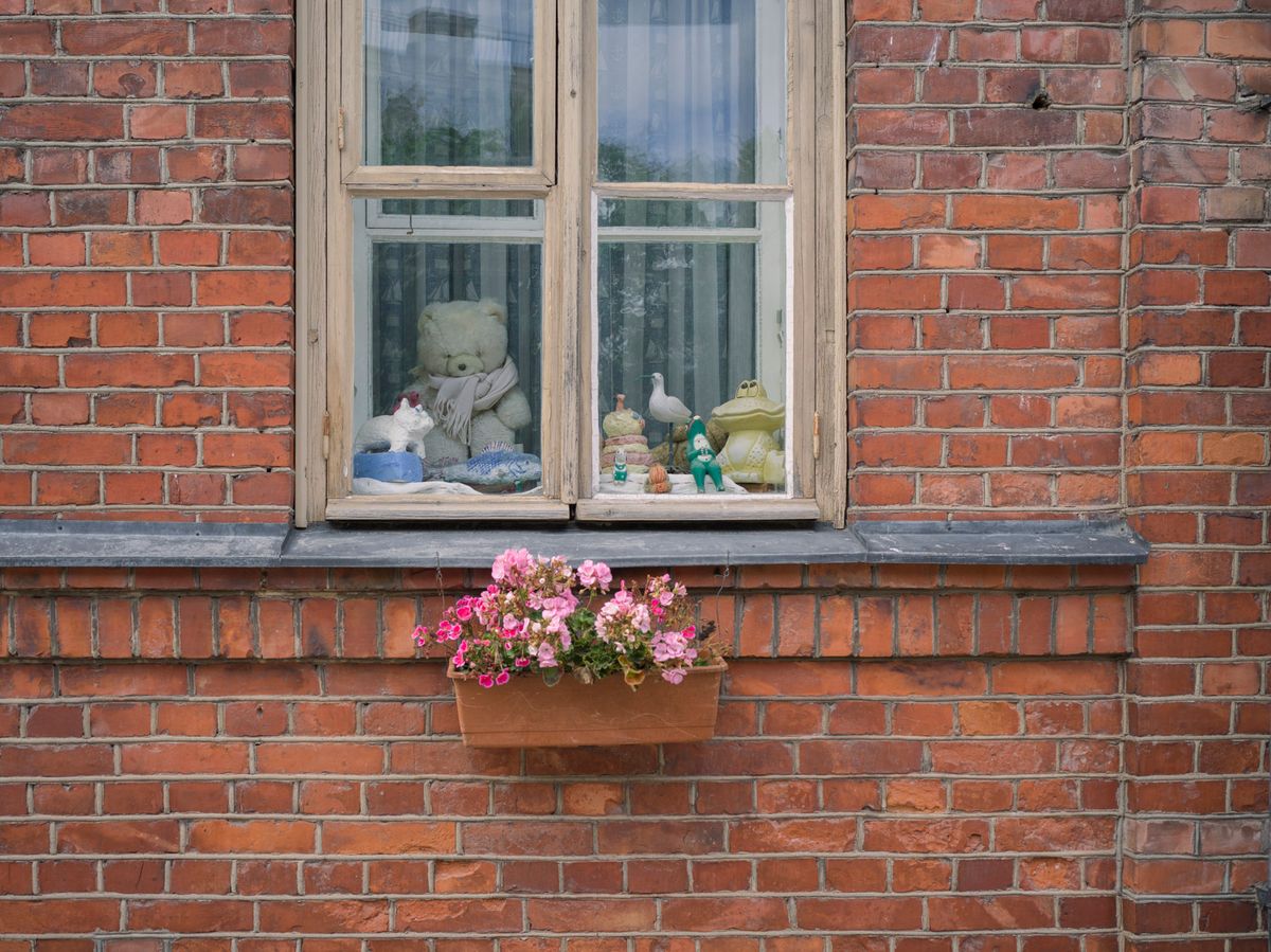 Osito y otras figuras detrás de una ventana, con flores rosas en una jardinera sobre ladrillos rojos.