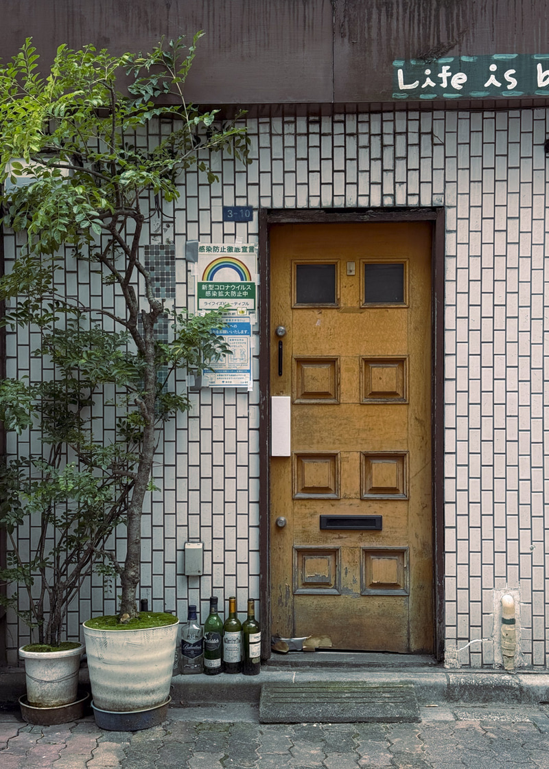 Puerta de madera con pequeños paneles cuadrados, plantas en macetas y botellas en la entrada.