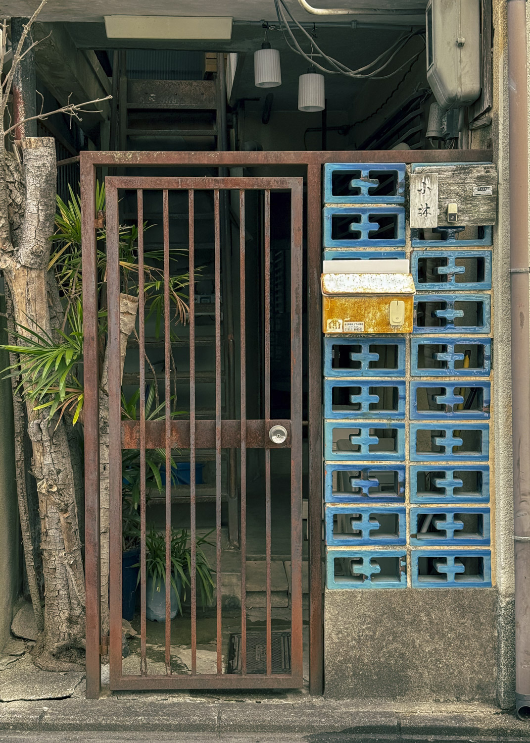 Puerta de barrotes junto a bloques perforados azules, plantas y tuberías.