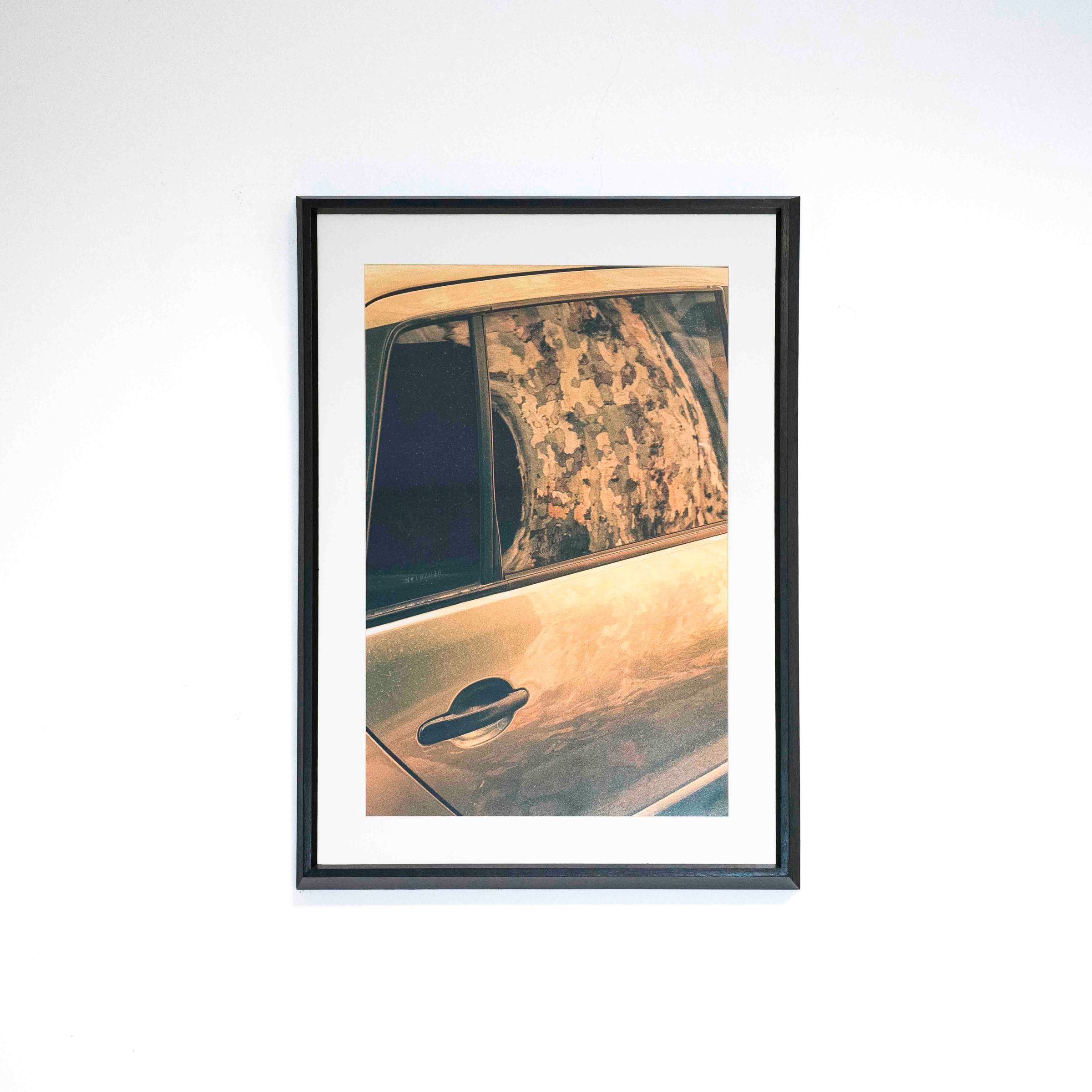 Fotografía vertical del lateral de un auto con un tronco reflejado en la ventanilla, con marco negro y paspartú blanco sobre una pared blanca.
